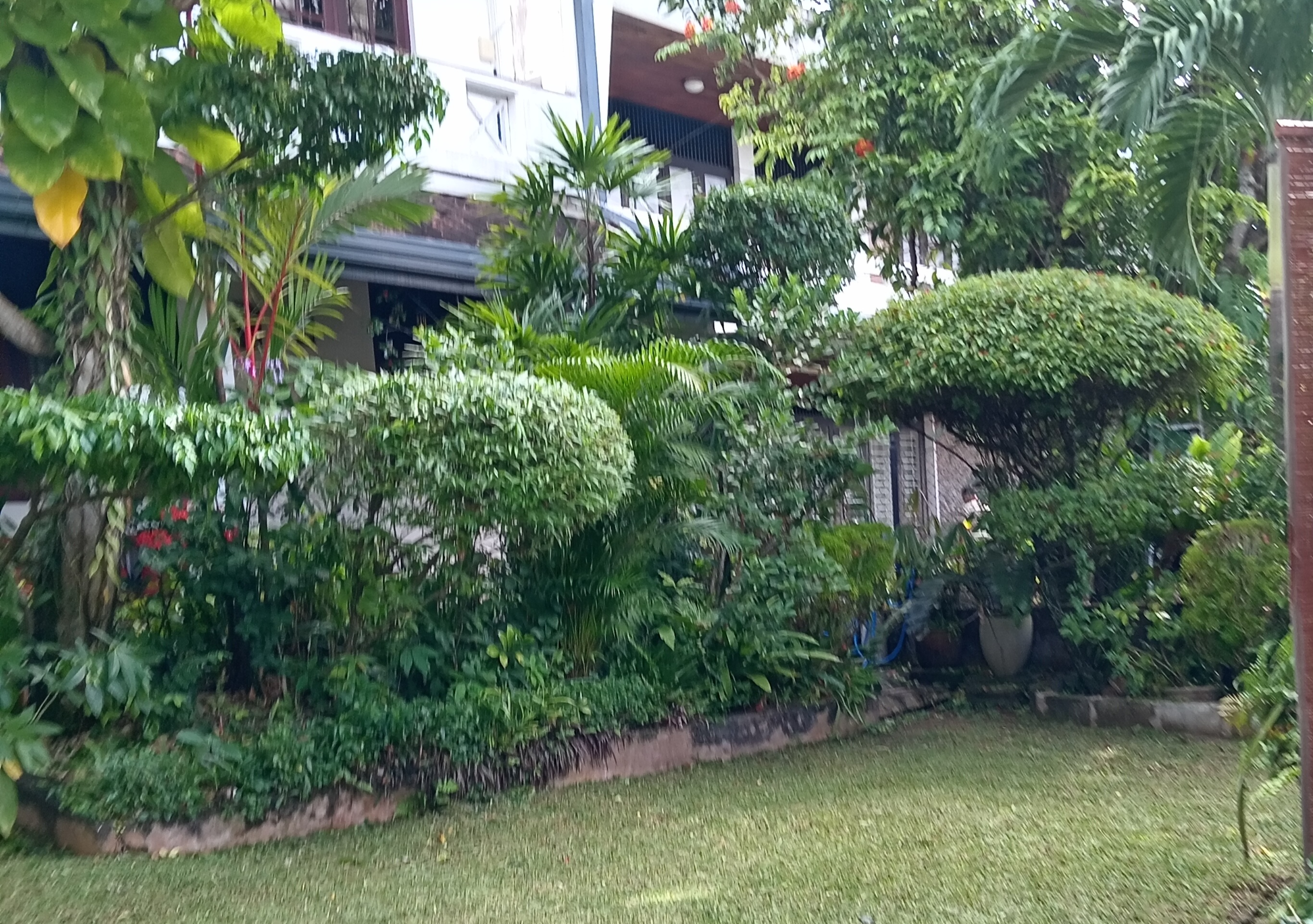 Courtyard Sanctuary