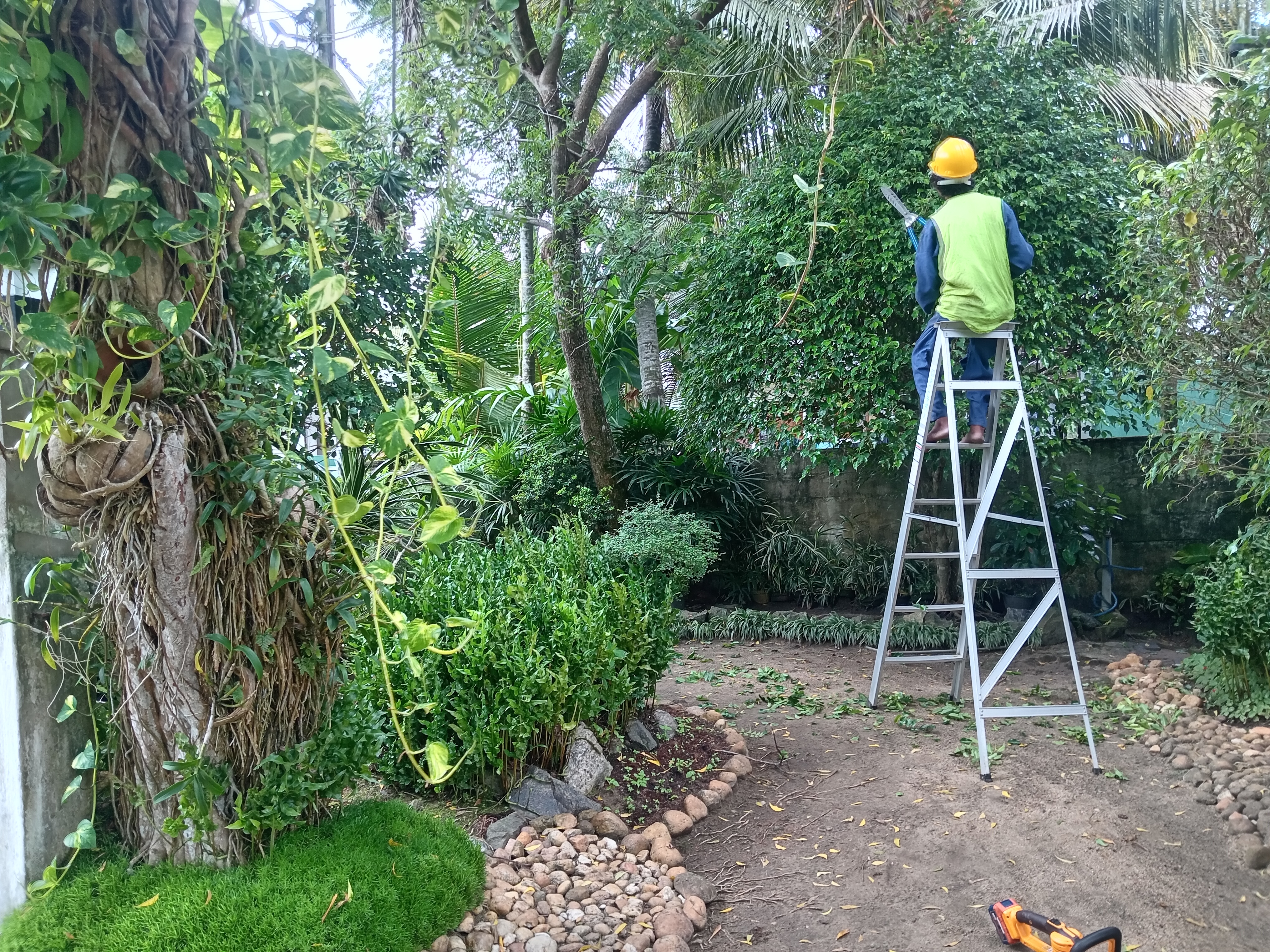 Planting Work